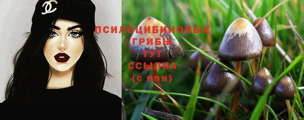 крисы Беломорск