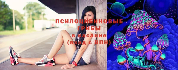 винт Белокуриха