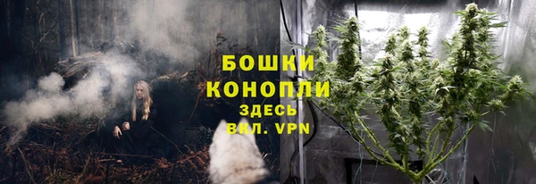 крисы Беломорск