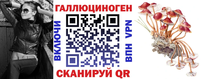 Псилоцибиновые грибы мицелий  купить   Белорецк 